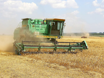 уборка урожая пшеницы