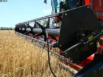 уборка урожая зерновых в Краснодарском крае